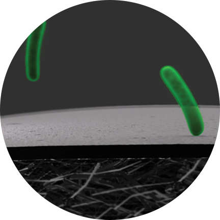 Reduces biofilm bacteria icon